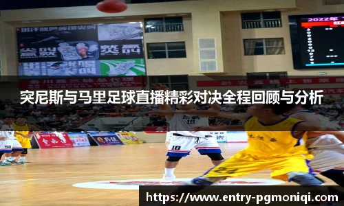 突尼斯与马里足球直播精彩对决全程回顾与分析