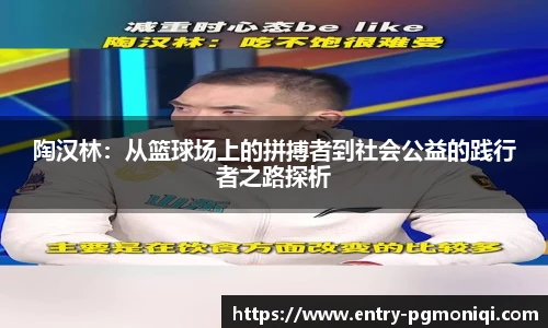陶汉林：从篮球场上的拼搏者到社会公益的践行者之路探析